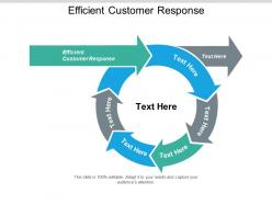 Efficient customer response ppt powerpoint presentation icon introduction cpb