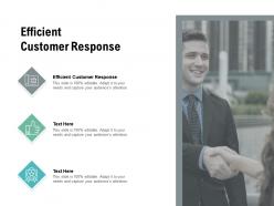 Efficient customer response ppt powerpoint presentation layouts topics cpb