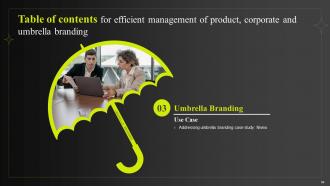 Efficient Management Of Product Corporate And Umbrella Branding CD