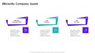 Efficiently Company Assets In Powerpoint And Google Slides Cpb