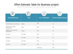 Effort estimate table for business project