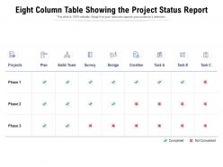 Eight column table showing the project status report