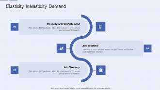 Elasticity Inelasticity Demand In Powerpoint And Google Slides Cpb