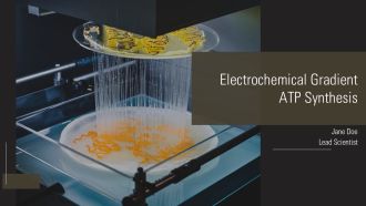 Electrochemical Gradient ATP Synthesis PPT Summary AT