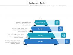 Electronic audit ppt powerpoint presentation layouts deck cpb