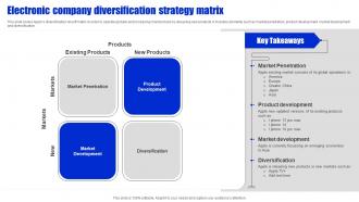 Electronic Company Diversification Strategy Matrix