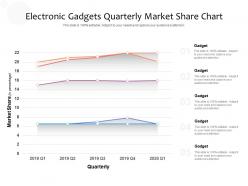 Electronic Gadgets Quarterly Market Share Chart