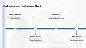Electrophoresis Techniques Used Dideoxy Sequencing PPT Summary ACP