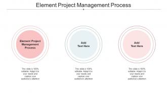 Element Project Management Process Ppt Powerpoint Presentation Model Icons Cpb