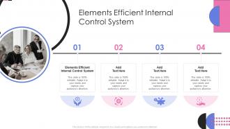 Elements Efficient Internal Control System In Powerpoint And Google Slides Cpb