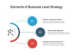 Elements of business level strategy