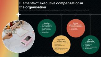 Elements Of Executive Compensation In The Organisation