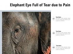Elephant eye full of tear due to pain