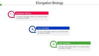 Elongation Biology Ppt Powerpoint Presentation Show Icon Cpb