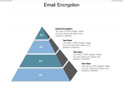 Email encryption ppt powerpoint presentation pictures background designs cpb