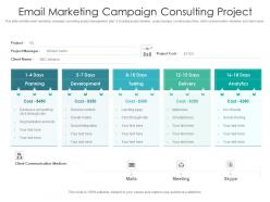 Email marketing campaign consulting project