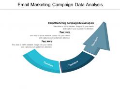 Email marketing campaign data analysis ppt powerpoint presentation icon slide download cpb