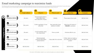 Email Marketing Campaign To Maximize Leads Startup Marketing Strategies To Increase Strategy SS V