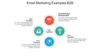 Email marketing examples b2b ppt powerpoint presentation layouts templates cpb