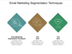 Email marketing segmentation techniques ppt powerpoint presentation styles topics cpb
