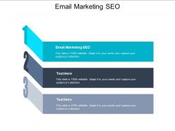 Email marketing seo ppt powerpoint presentation infographic template examples cpb