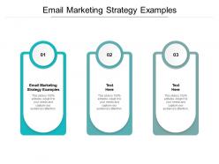 Email marketing strategy examples ppt powerpoint presentation ideas portfolio cpb