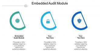 Embedded audit module ppt powerpoint presentation inspiration guidelines cpb