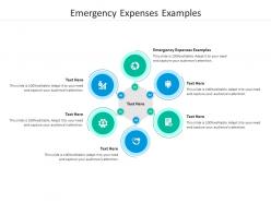 Emergency expenses examples ppt powerpoint presentation outline tips cpb
