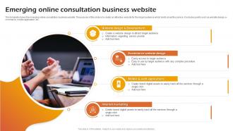 Emerging Online Consultation Business Website