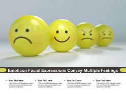 Emoticon facial expressions convey multiple feelings