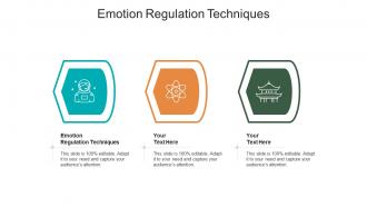Emotion regulation techniques ppt powerpoint presentation styles smartart cpb