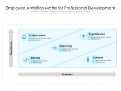Employee ambition matrix for professional development