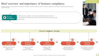 Employee And Workplace Brief Overview And Importance Of Business Compliance Strategy SS V