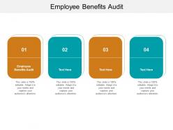 Employee benefits audit ppt powerpoint presentation portfolio graphics design cpb