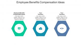 Employee benefits compensation ideas ppt powerpoint presentation icon portrait cpb