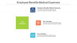 Employee benefits medical expenses ppt powerpoint presentation visual aids styles cpb