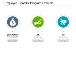Employee benefits program example ppt powerpoint presentation gallery maker cpb