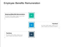 Employee benefits remuneration ppt powerpoint presentation gallery aids cpb