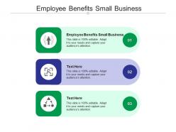 Employee benefits small business ppt powerpoint presentation infographic template gallery cpb