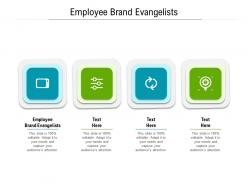 Employee brand evangelists ppt powerpoint presentation pictures aids cpb