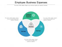 Employee business expenses ppt powerpoint presentation summary background cpb