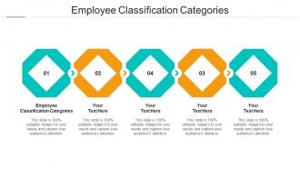 Employee classification categories ppt powerpoint presentation summary templates cpb