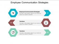Employee communication strategies ppt powerpoint presentation portfolio format cpb