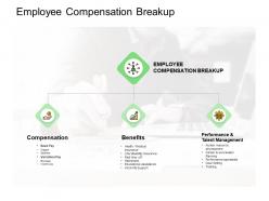 Employee compensation breakup benefits ppt powerpoint presentation model outline