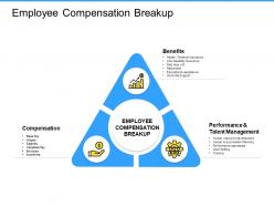 Employee compensation breakup performance ppt powerpoint presentation introduction