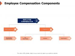 Employee compensation components business ppt powerpoint presentation icon slides