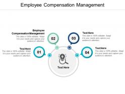 Employee compensation management ppt powerpoint presentation professional images cpb
