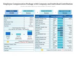 Employee compensation package with company and individual contribution