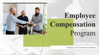 Employee Compensation Program Powerpoint Ppt Template Bundles