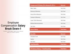 Employee compensation salary break down 1